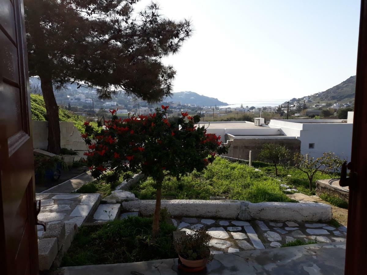 Maria Guesthouse Kini المظهر الخارجي الصورة